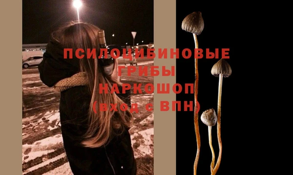 дурь Навашино