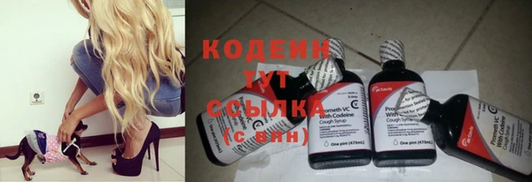 спиды Надым