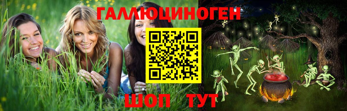 Псилоцибиновые грибы Psilocybine cubensis Серпухов