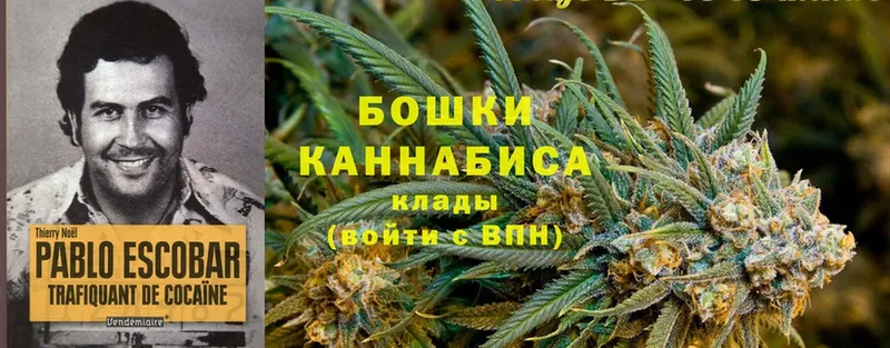 blacksprut ТОР  где купить наркоту  Серпухов  Канабис сатива 